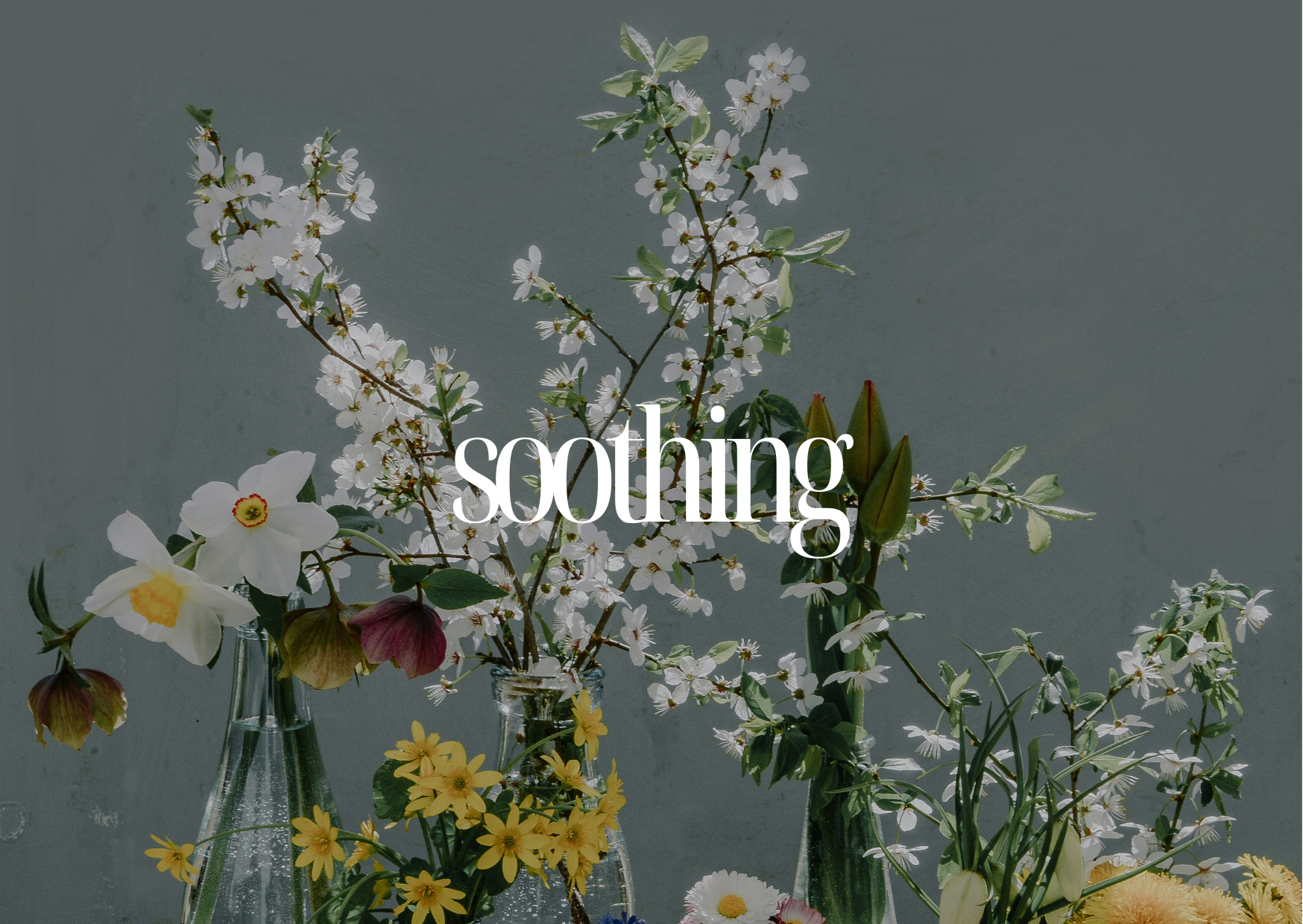 soothing line