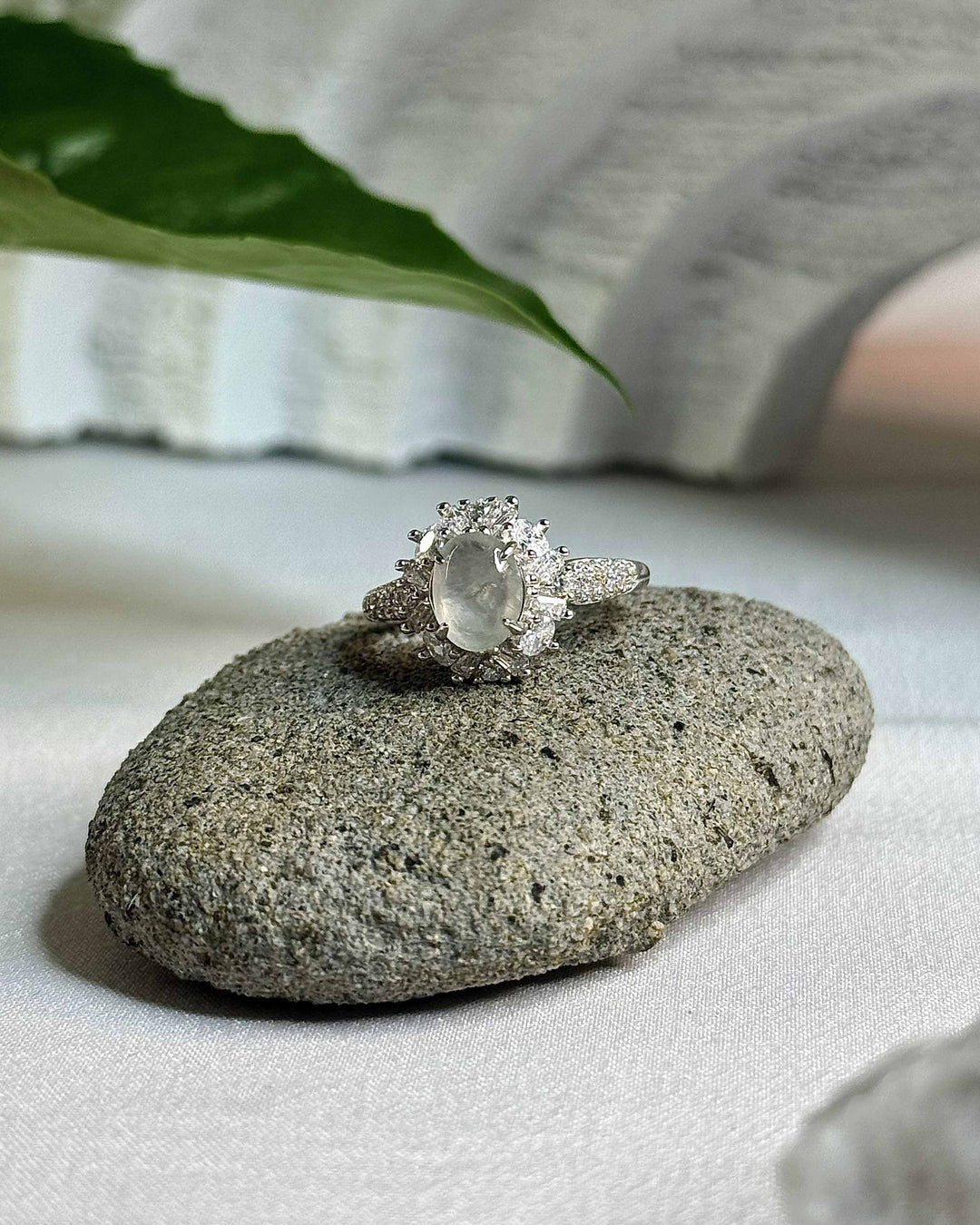 [021] 初eion (木那玻璃種白翡)