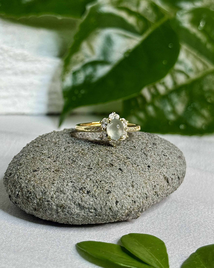 [024] 若aerith (木那高冰玻璃龍石種)